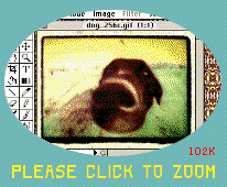 [download 102K screen grab] 